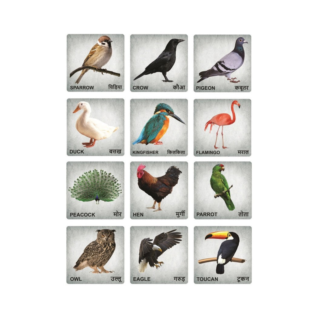 Wooden Birds Flash Cards for Kids | Bird Learning Picture Cards ...