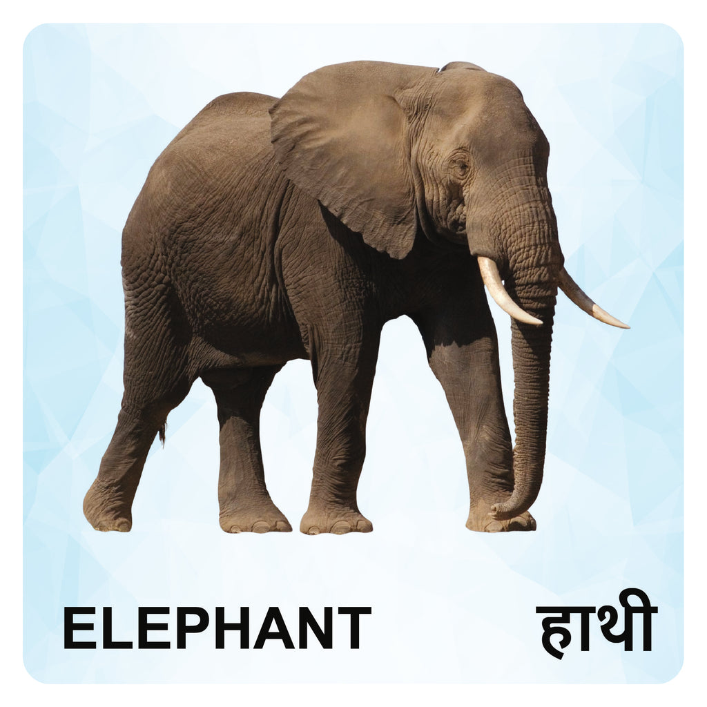 Wooden Animals Flash Cards for Kids | Animal Learning Picture Cards