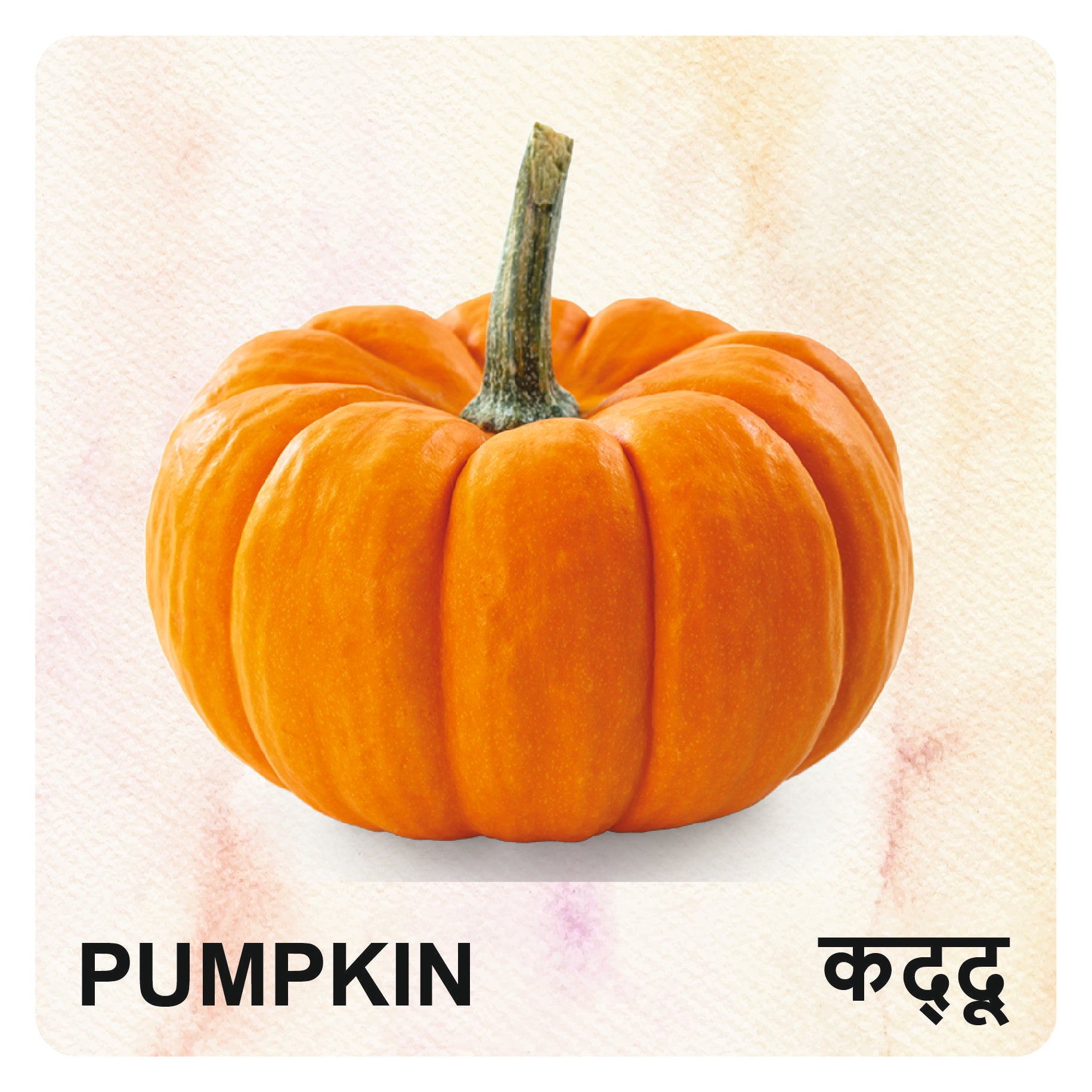 Wooden Vegetables Flash Cards for Kids | Vegetable Learning Educational Toy