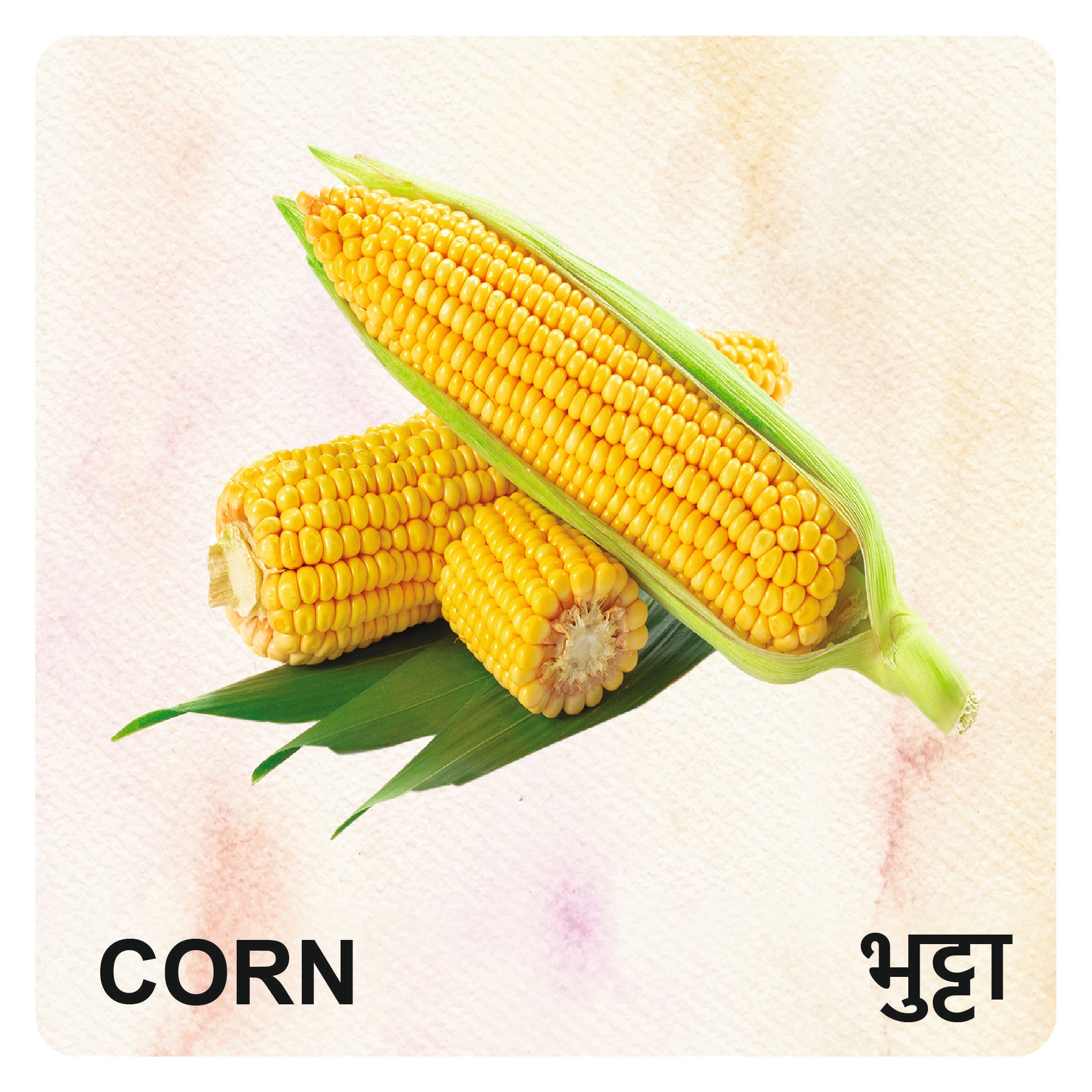 Wooden Vegetables Flash Cards for Kids | Vegetable Learning Educational Toy