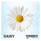 Flowers Wooden Flash Cards for Kids | Flower Learning Picture Cards