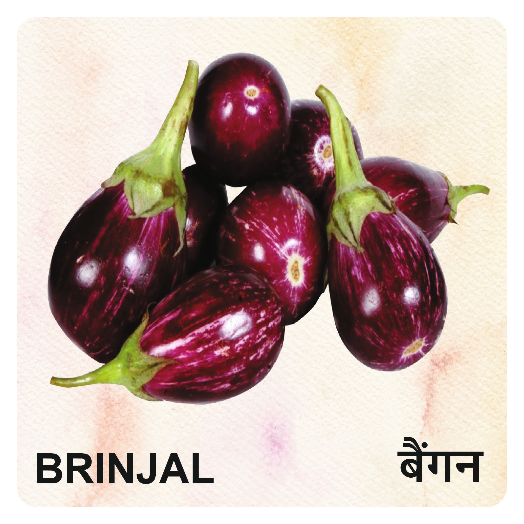 Wooden Vegetables Flash Cards for Kids | Vegetable Learning Educational Toy