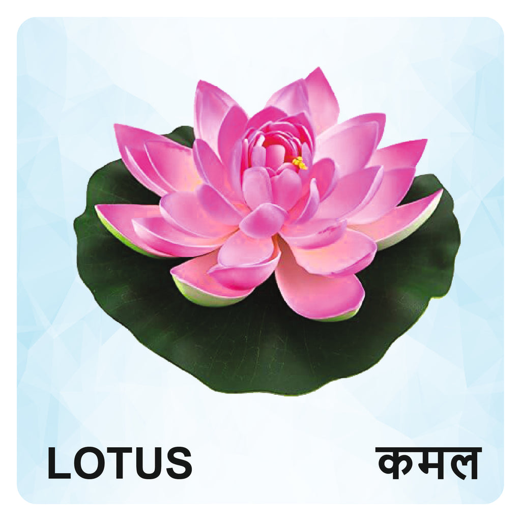 Flowers Wooden Flash Cards for Kids | Flower Learning Picture Cards