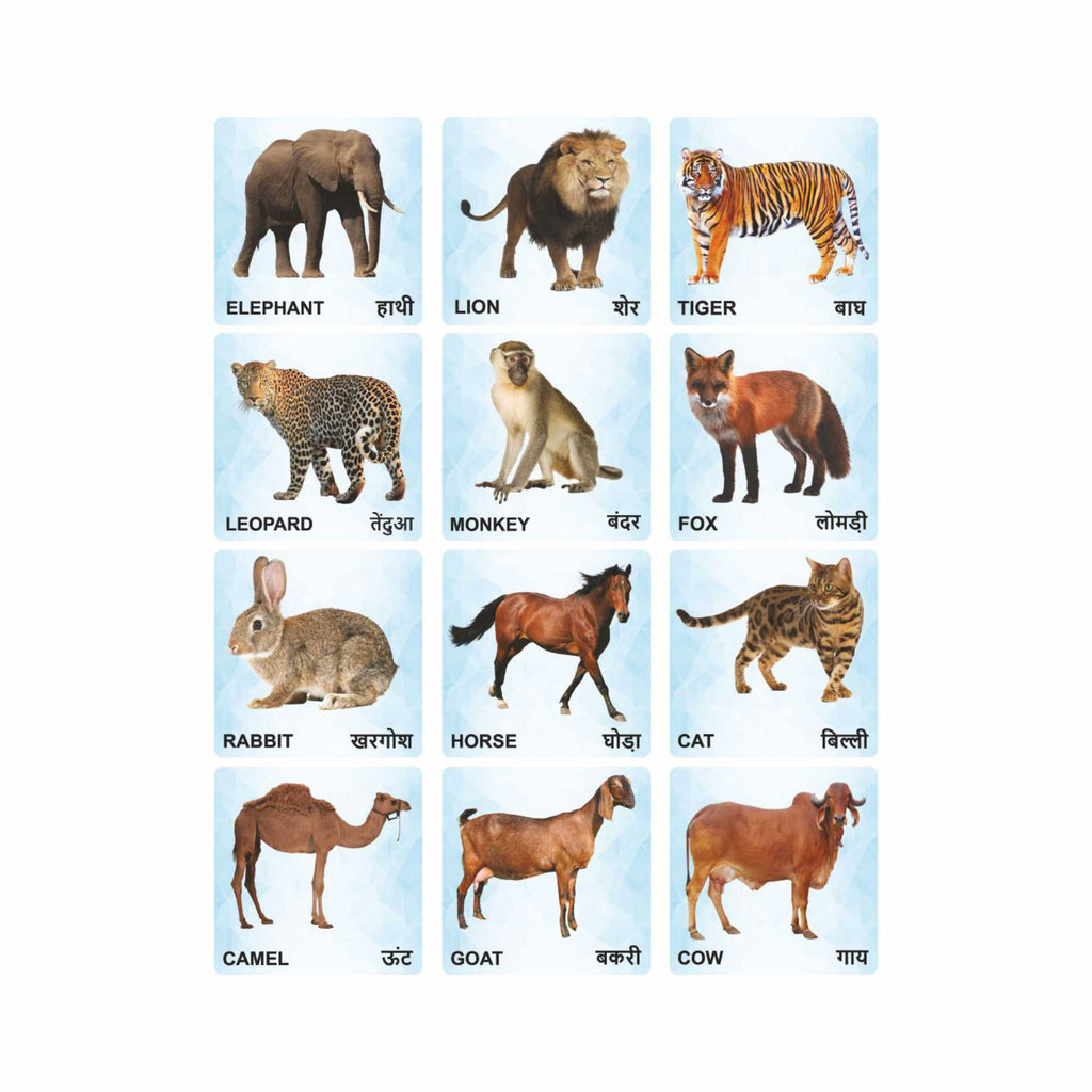 Wooden Animals Flash Cards for Kids | Animal Learning Picture Cards