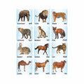 Wooden Animals Flash Cards for Kids | Animal Learning Picture Cards