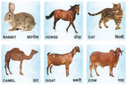 Wooden Animals Flash Cards for Kids | Animal Learning Picture Cards