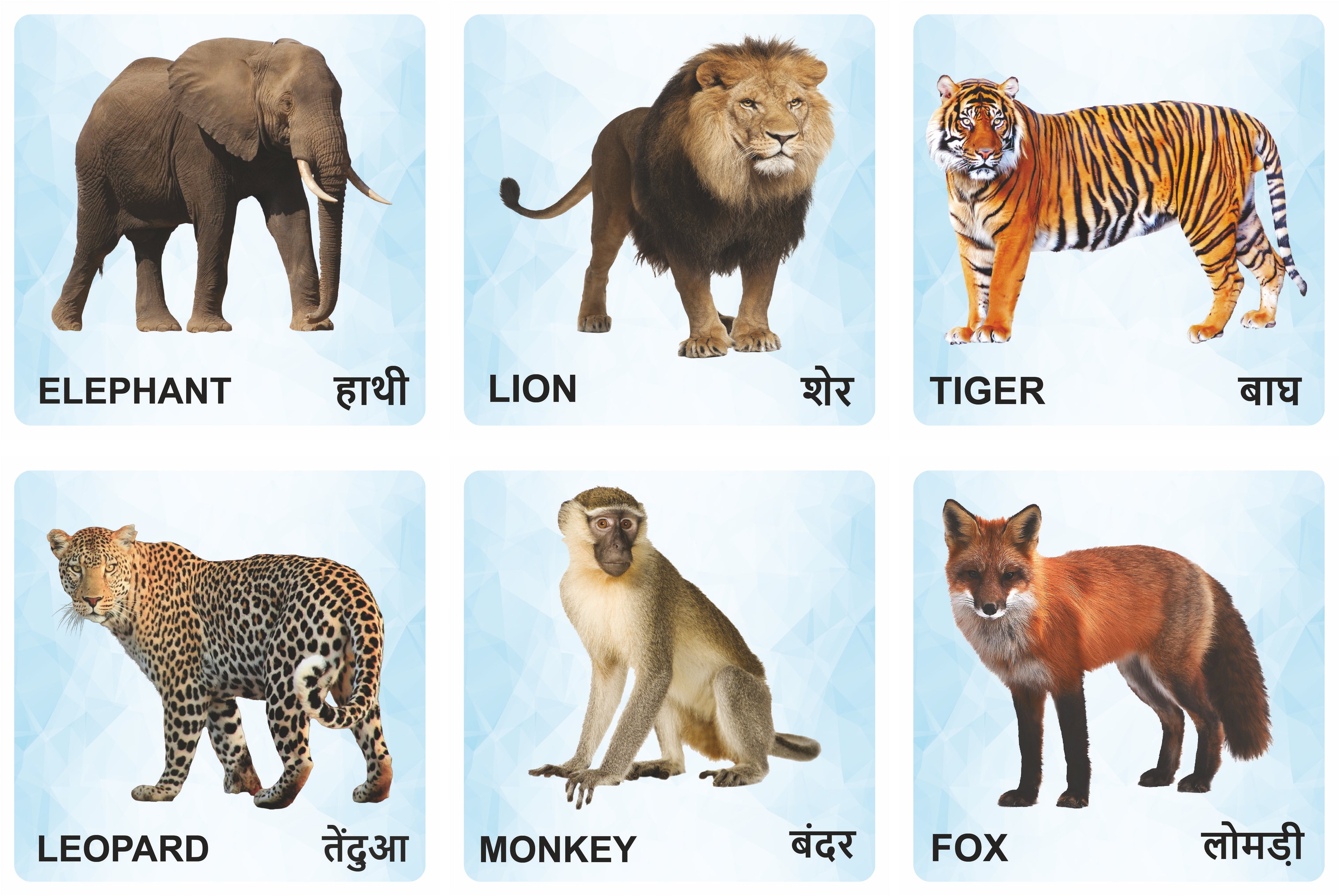 Wooden Animals Flash Cards for Kids | Animal Learning Picture Cards