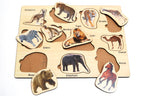 Wooden Animal Shape Matching Puzzle Games with Board Games