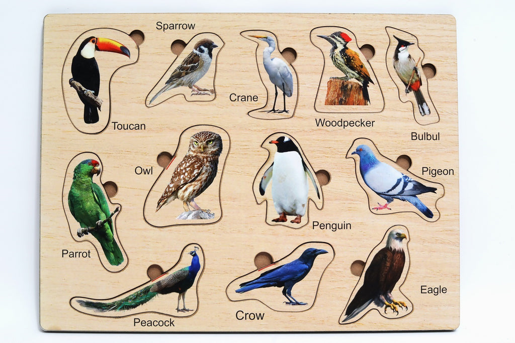 Wooden Toy Birds Shape Matching Puzzle Games with Board Games