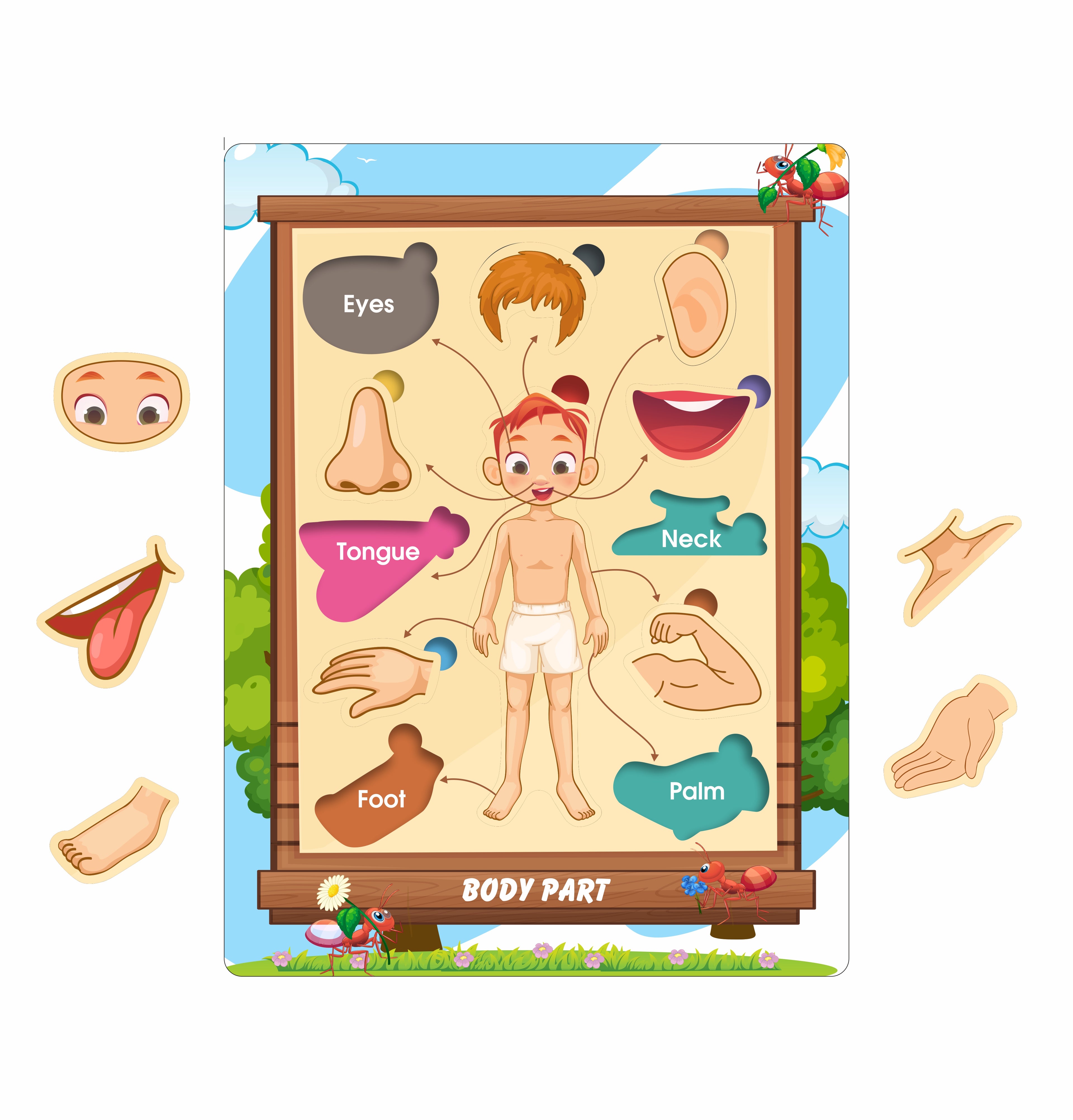 Wooden Body Parts Peg Board Puzzle for Kids | Educational Learning Toy