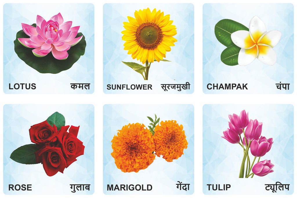 Flowers Wooden Flash Cards for Kids | Flower Learning Picture Cards