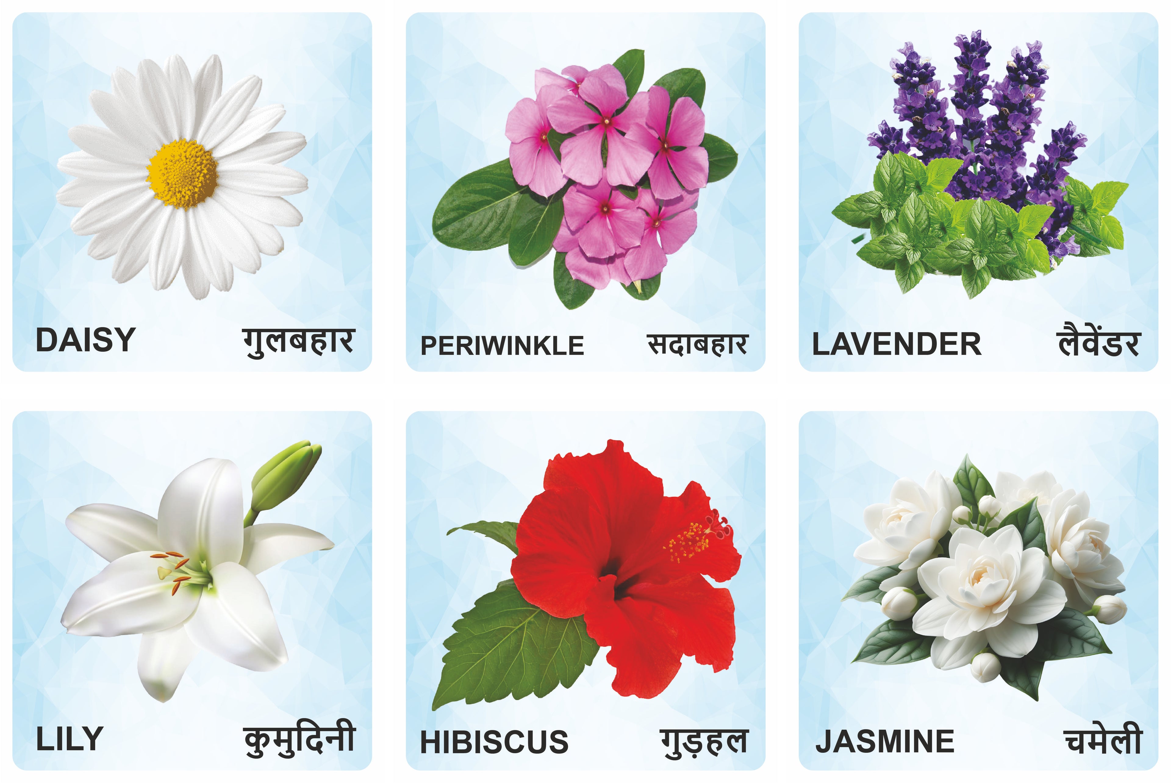 Flowers Wooden Flash Cards for Kids | Flower Learning Picture Cards