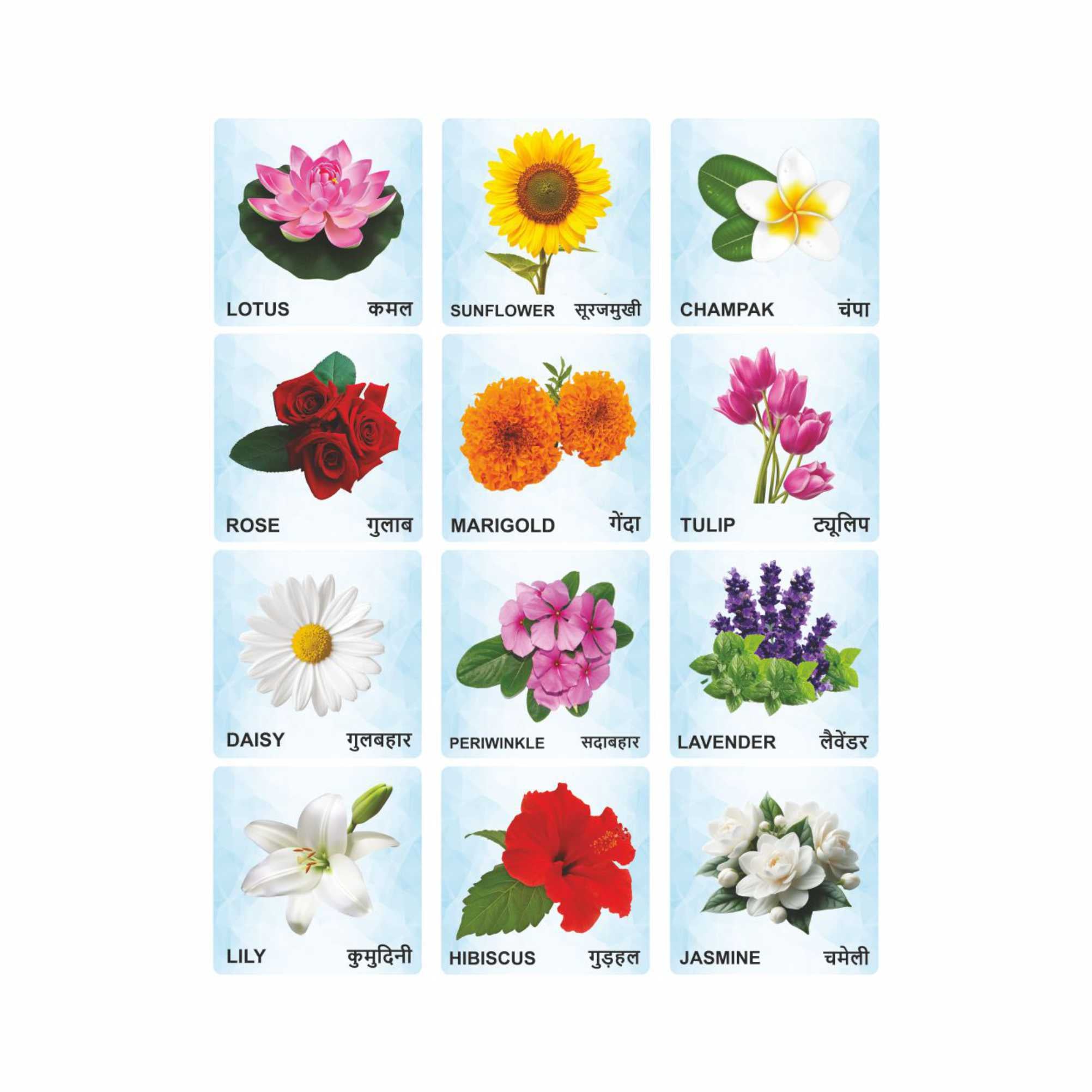 Flowers Wooden Flash Cards for Kids | Flower Learning Picture Cards