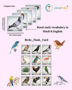 Wooden Birds Flash Cards for Kids | Bird Learning Picture Cards