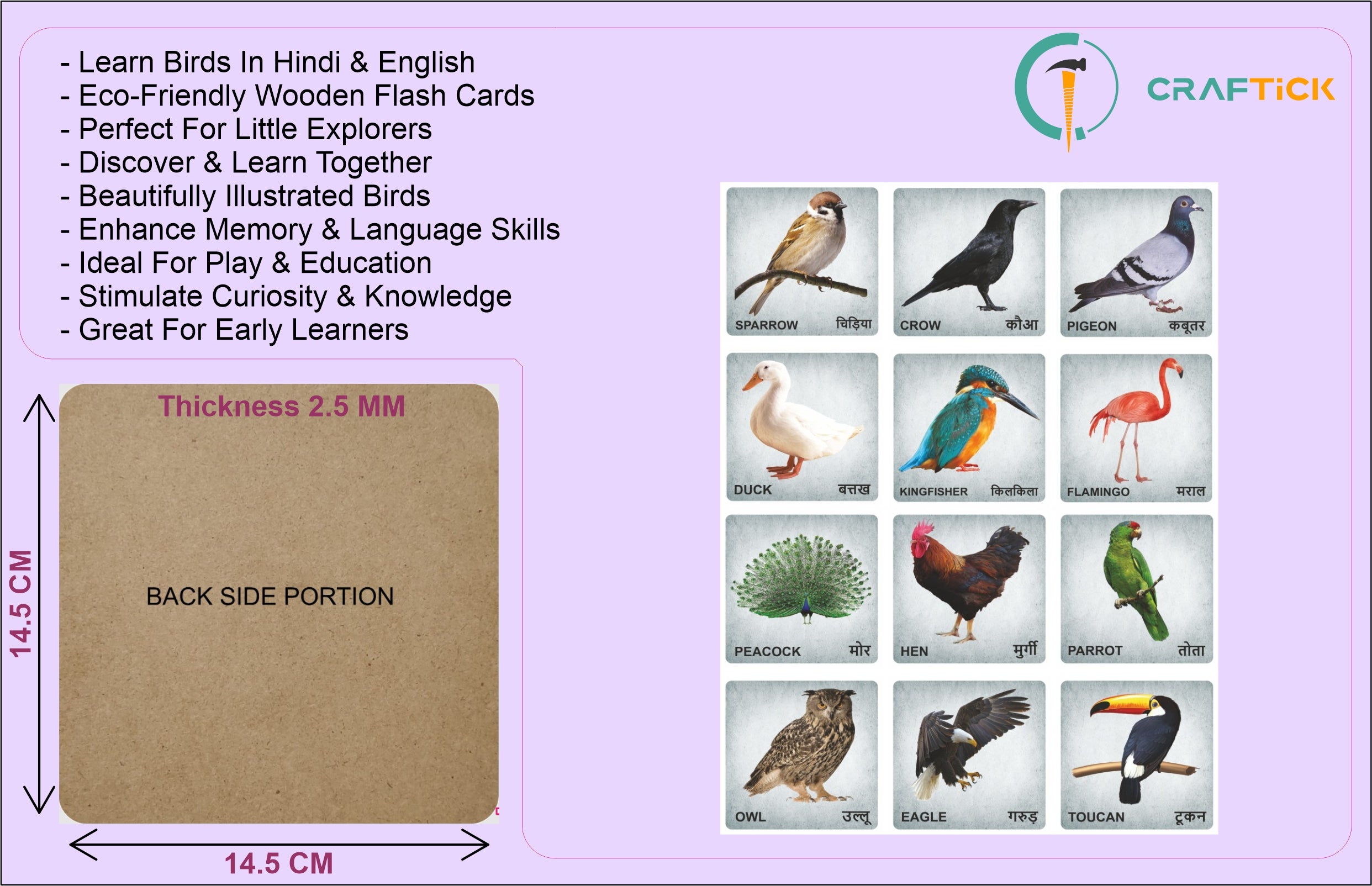 Wooden Birds Flash Cards for Kids | Bird Learning Picture Cards