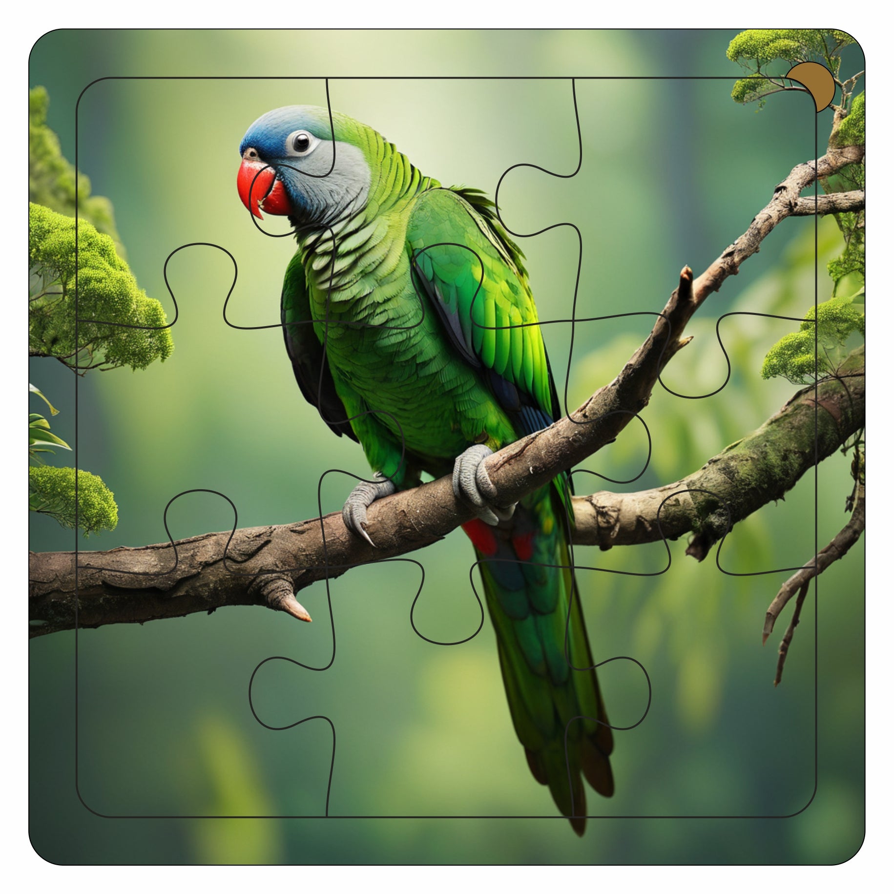 Wooden 6 Pieces Birds Puzzle Set for Kids | Educational Learning Toy