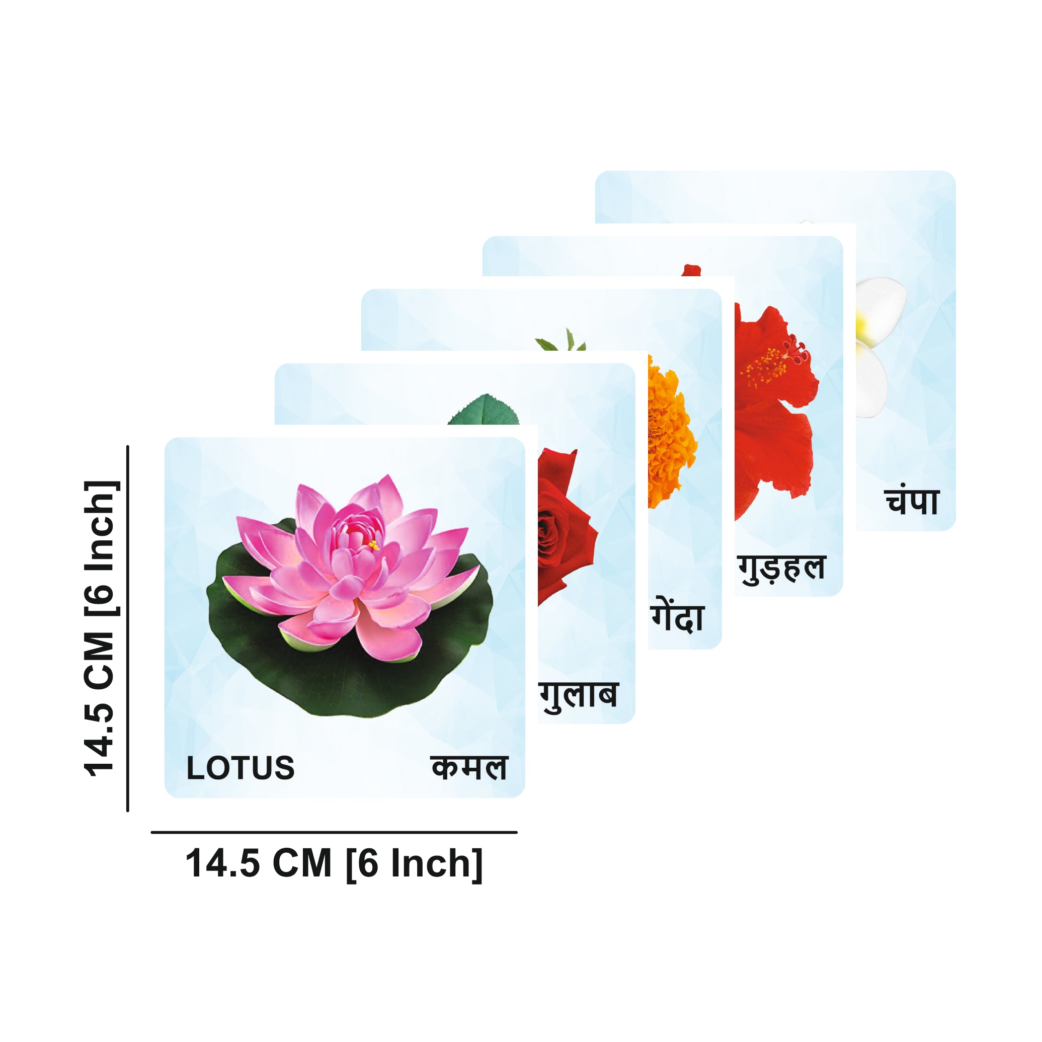 Flowers Wooden Flash Cards for Kids | Flower Learning Picture Cards