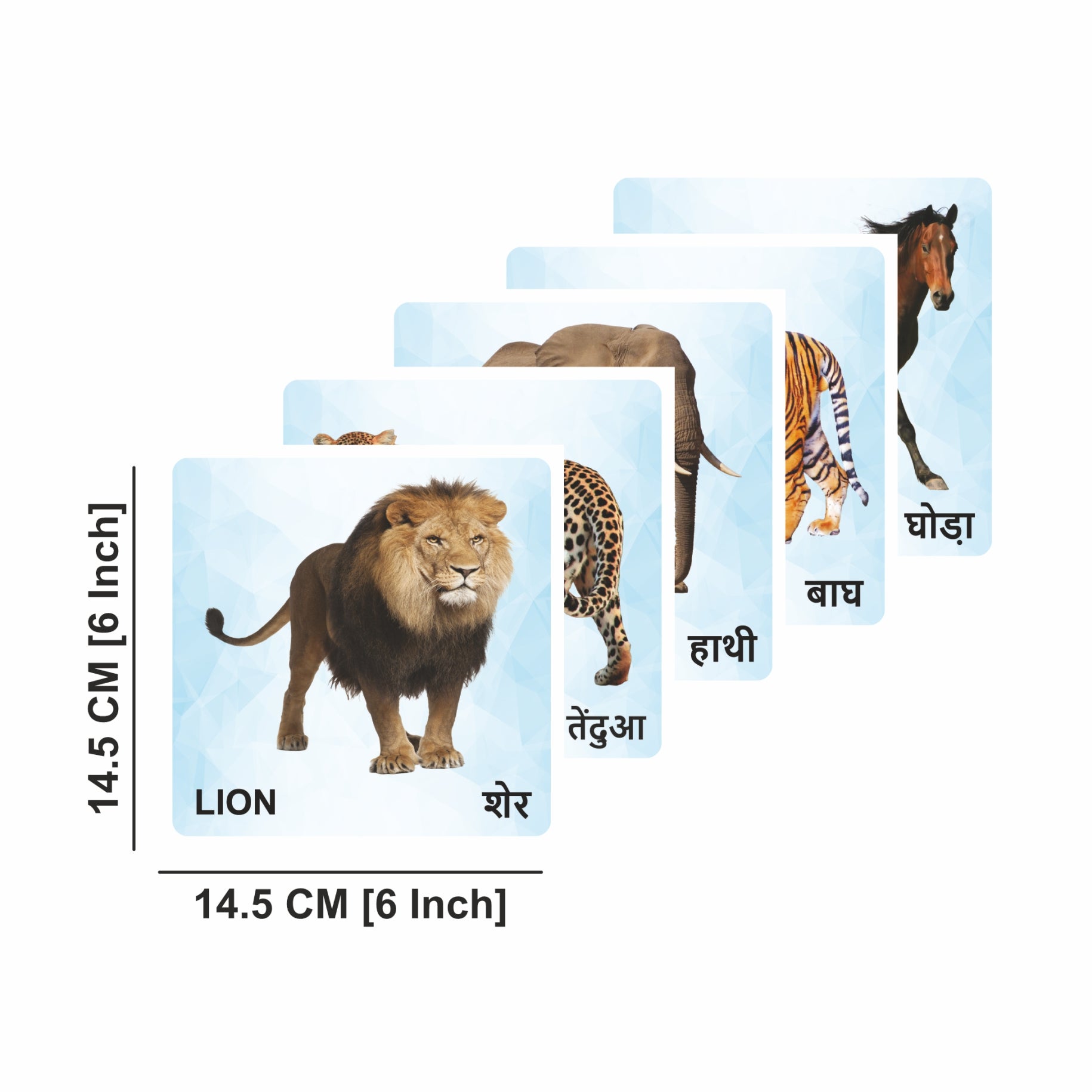 Wooden Animals Flash Cards for Kids | Animal Learning Picture Cards